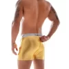 Cueca Boxer Brilhante com Zíper Atrás - Pegasus Sapeka - Imagem 2