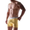 Cueca Boxer Brilhante com Zíper Atrás - Pegasus Sapeka