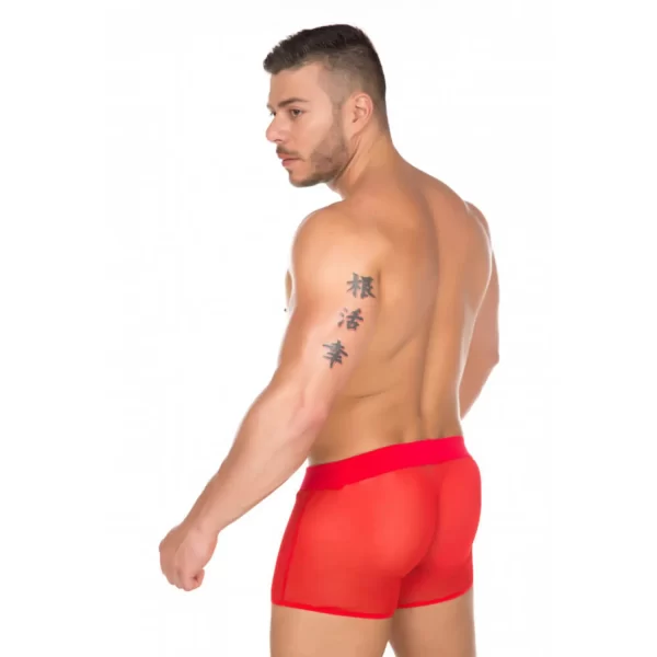 Cueca Modelo Boxer Em Tule Transparente - Pimenta Sexy - Imagem 2